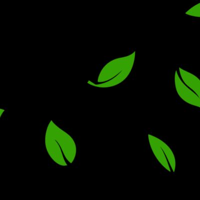 13 Leaves Thumbnail