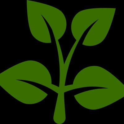 15 Leaves Thumbnail