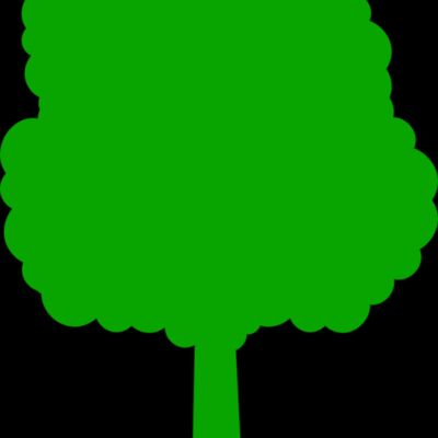 41 Tree Thumbnail