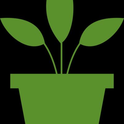 Plant 2 Thumbnail