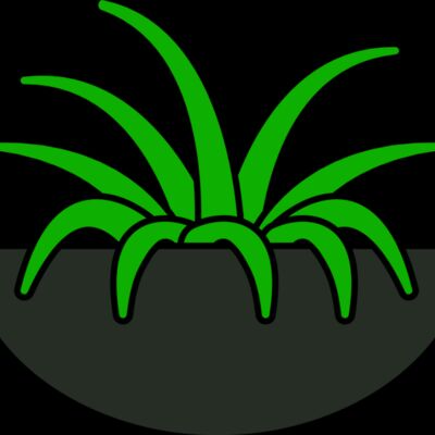 Plants 6 Thumbnail