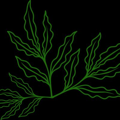 Leaves 7 Thumbnail